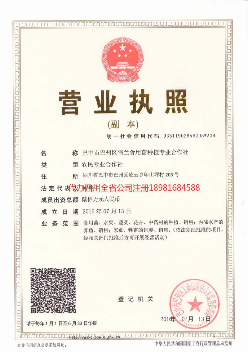 偃师偃师伟兰食用菌种植专业合作社